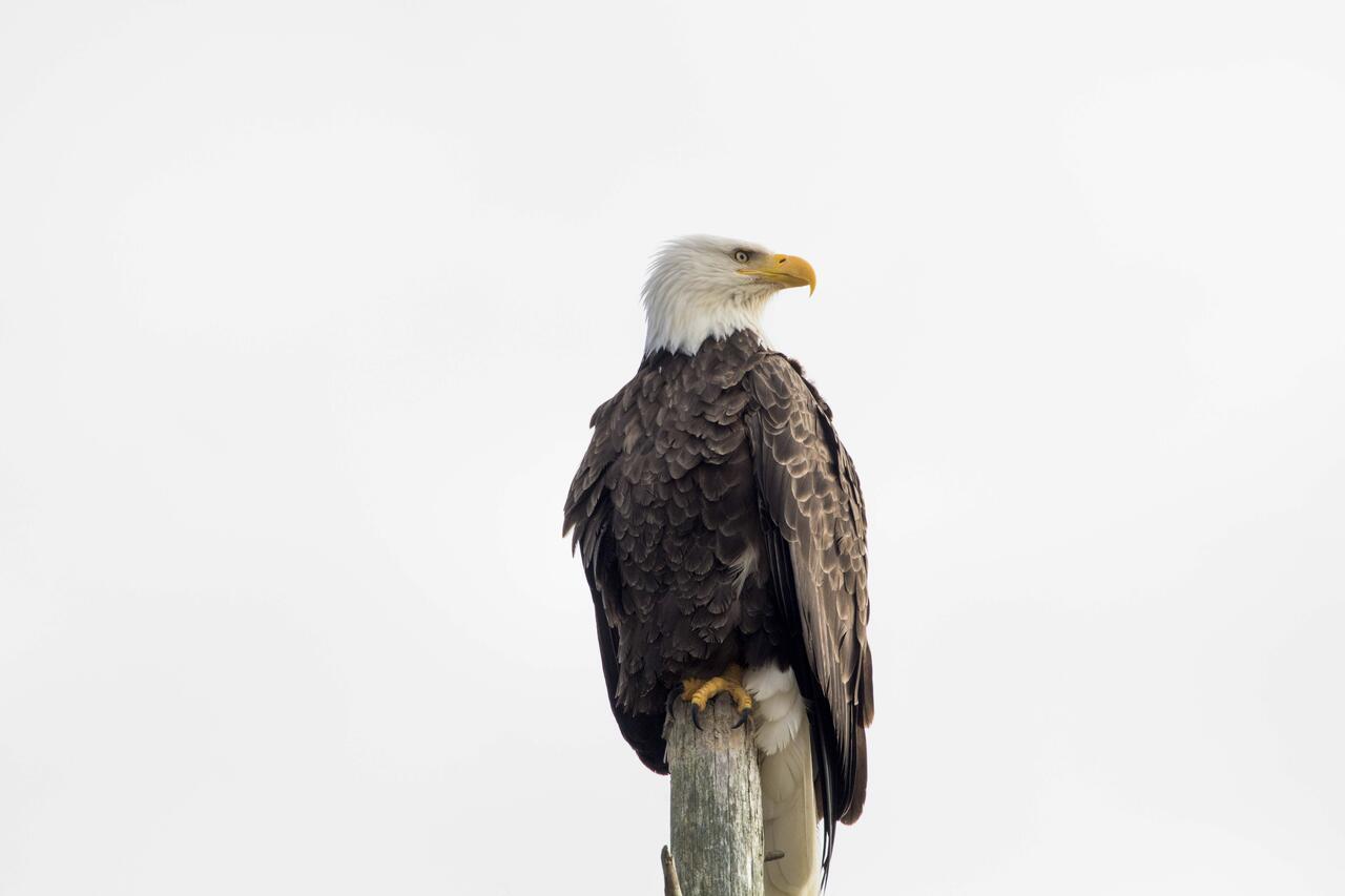 Eagles View Condo In Ocean Shores With 3 Balconies 외부 사진