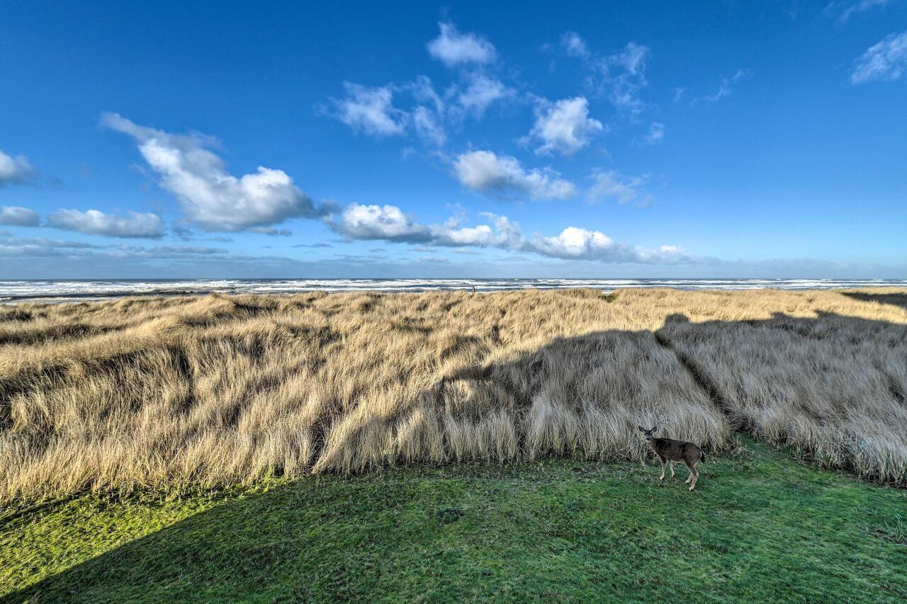 Eagles View Condo In Ocean Shores With 3 Balconies 외부 사진